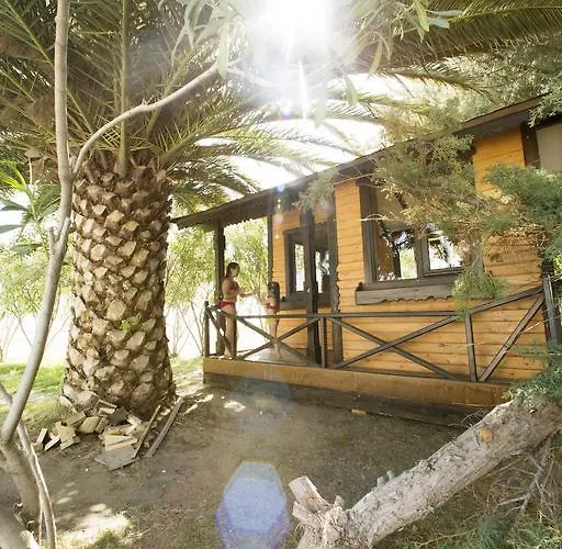 Halic Park 4* ديكيلي