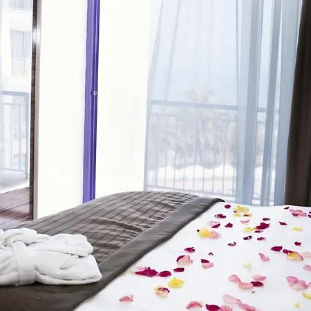 ホテル Halic Park 4*