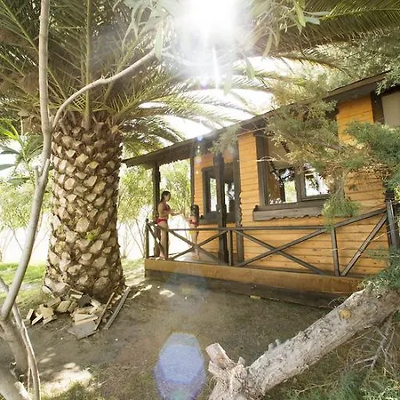 Halic Park 4* Dikili