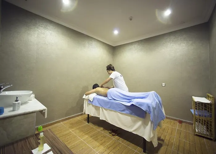 Halic Park 4* Дикили